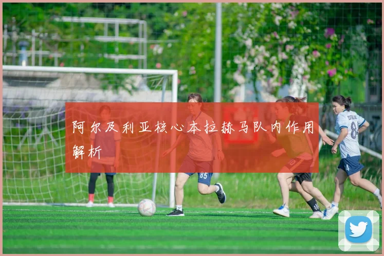 阿尔及利亚核心本拉赫马队内作用解析