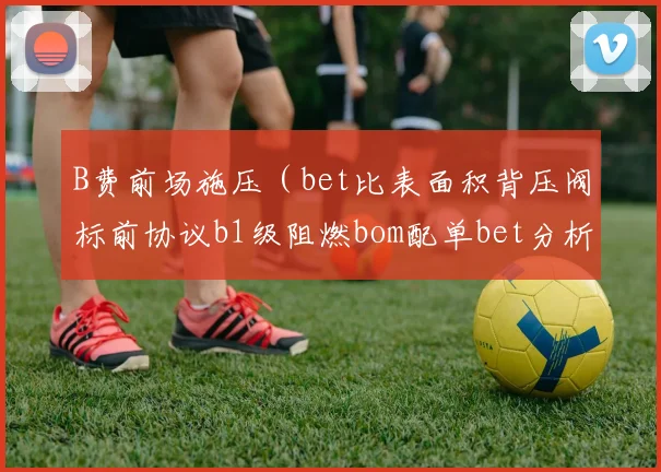 B费前场施压（bet比表面积背压阀标前协议b1级阻燃bom配单bet分析贝克曼流式bafa1）