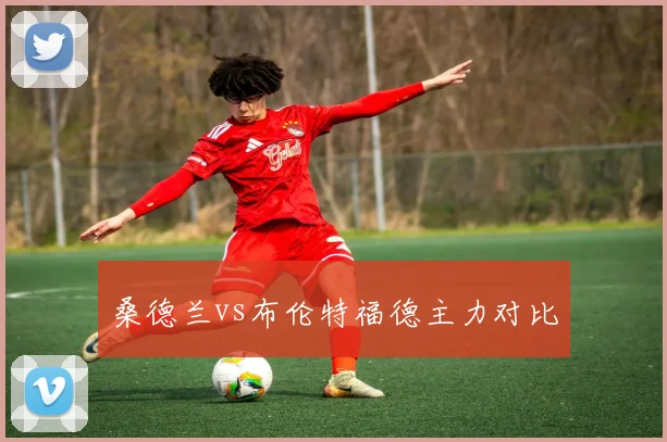 桑德兰vs布伦特福德主力对比