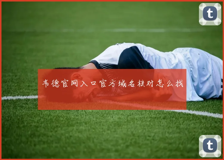韦德官网入口官方域名核对怎么找