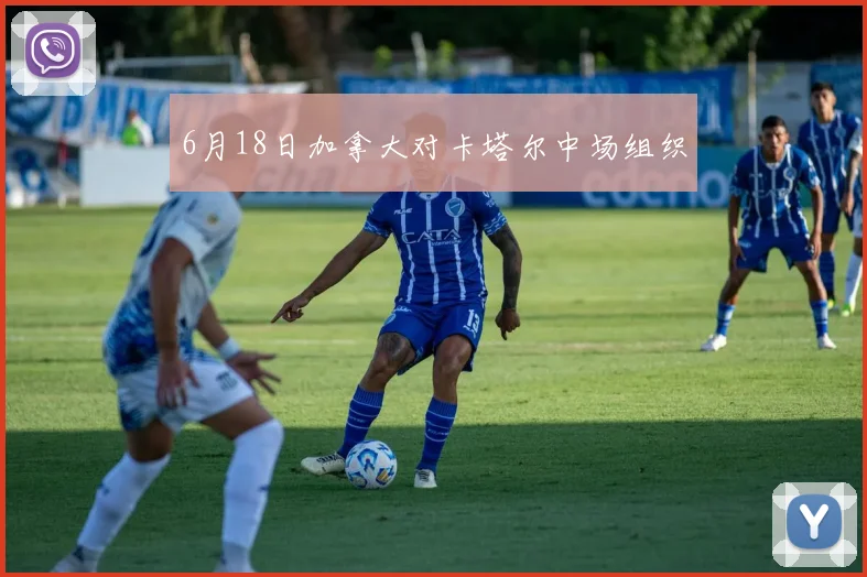6月18日加拿大对卡塔尔中场组织
