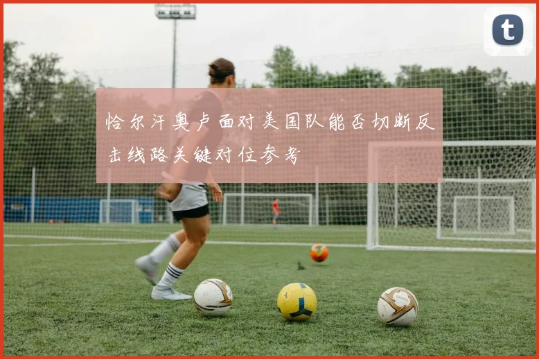 恰尔汗奥卢面对美国队能否切断反击线路关键对位参考